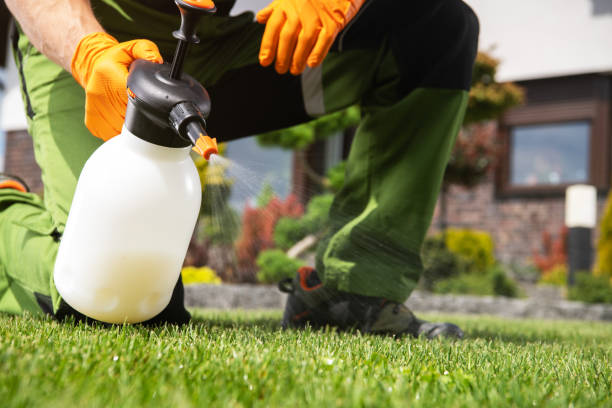 Pest Control for Restaurants in Fruita, CO